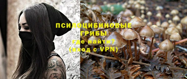 шишки Богданович