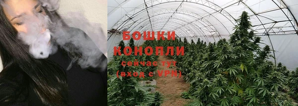 прущие крисы Белокуриха