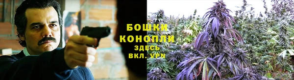 шишки Богданович