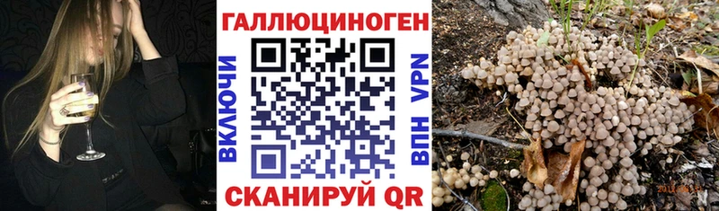 Псилоцибиновые грибы Psilocybe  Барабинск 